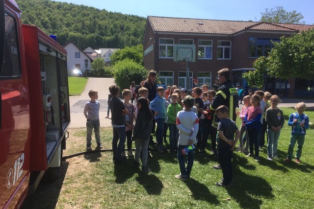 20180604 BrandSchErz ED HP DGP ED 01